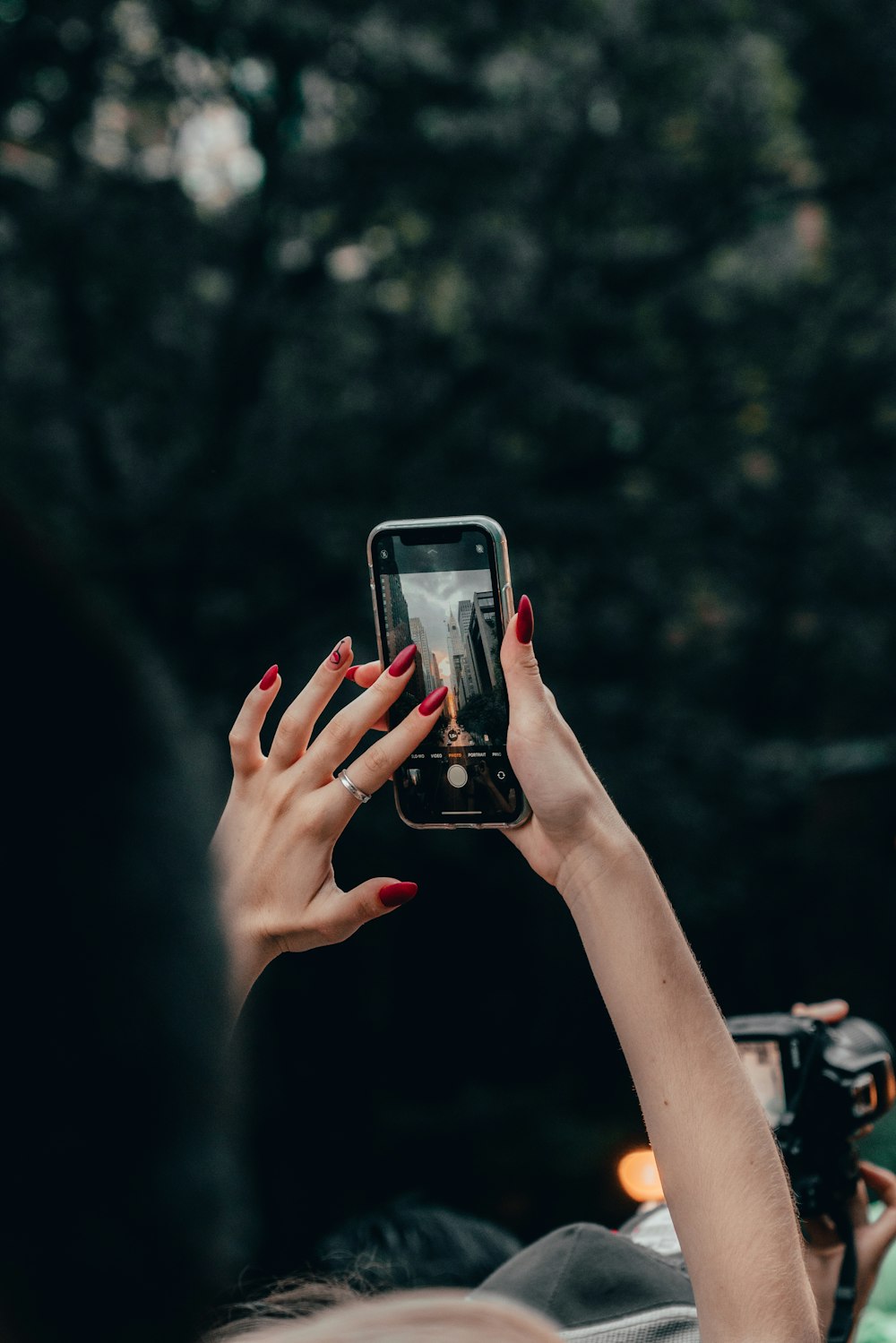 person holding iphone 6 taking photo of trees during daytime