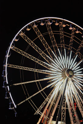 white and black ferris wheel