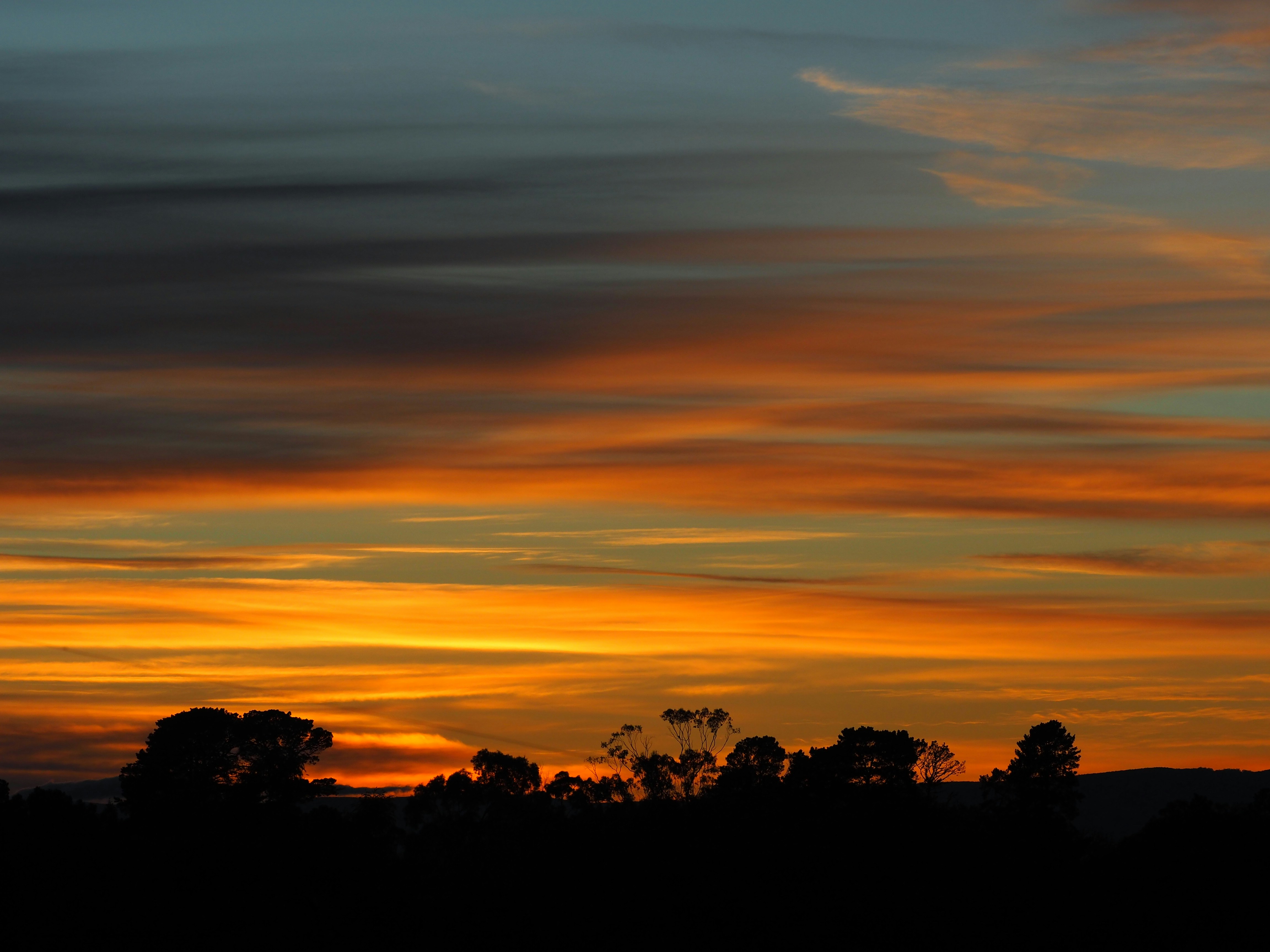 Photo by faustdownunder