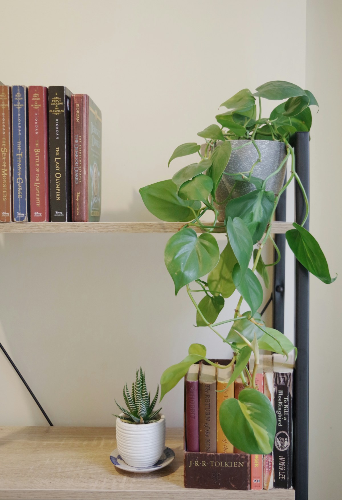 Workplace Wellness,Biophilia,COVID-19,Light,Mindfulness, plants in office, office plants