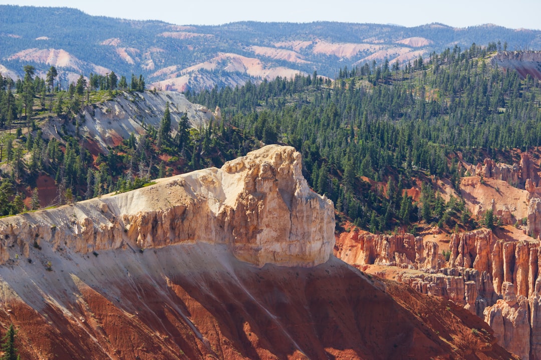 green trees on brown rocky mountain during daytime