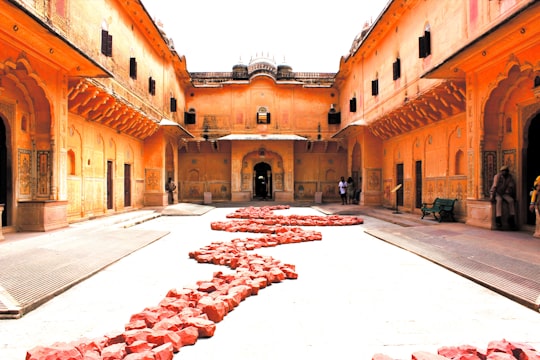 red leaves on gray concrete floor in Nahargarh Fort India