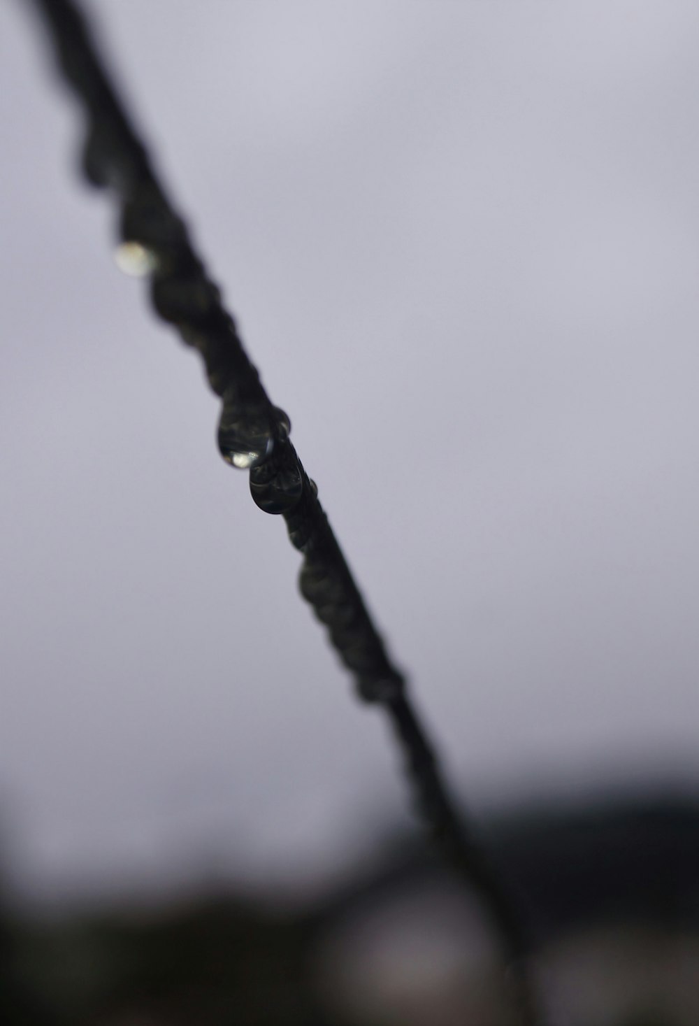 water droplets on black rope
