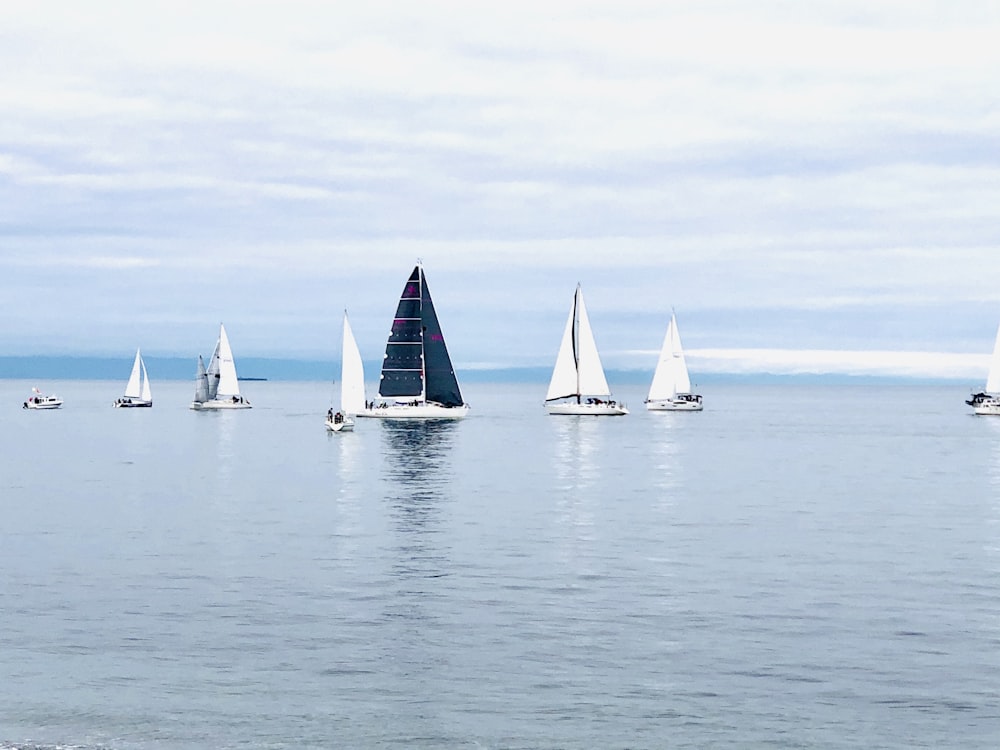 white sail boat on sea during daytime