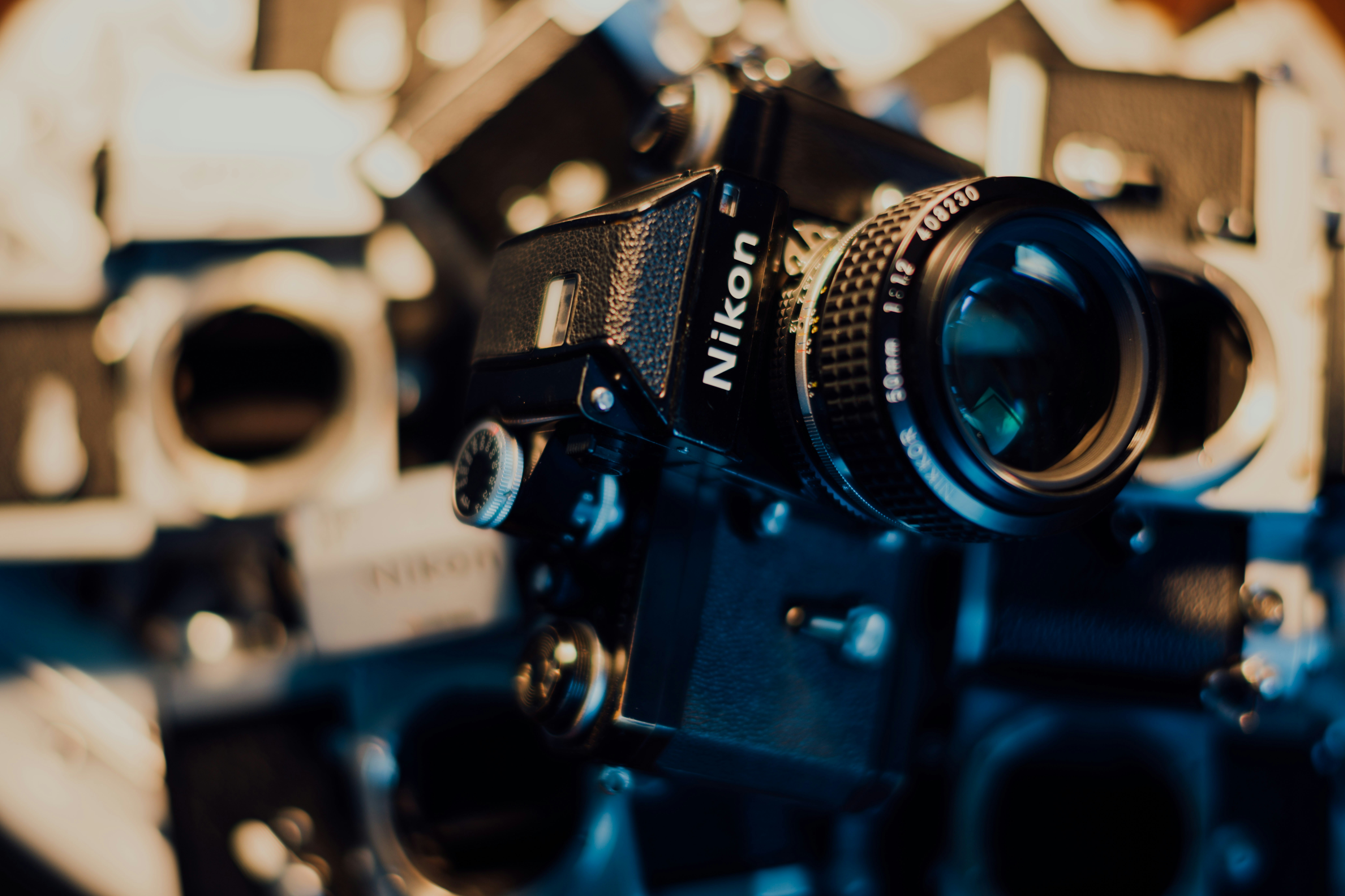 Photo by chuttersnap