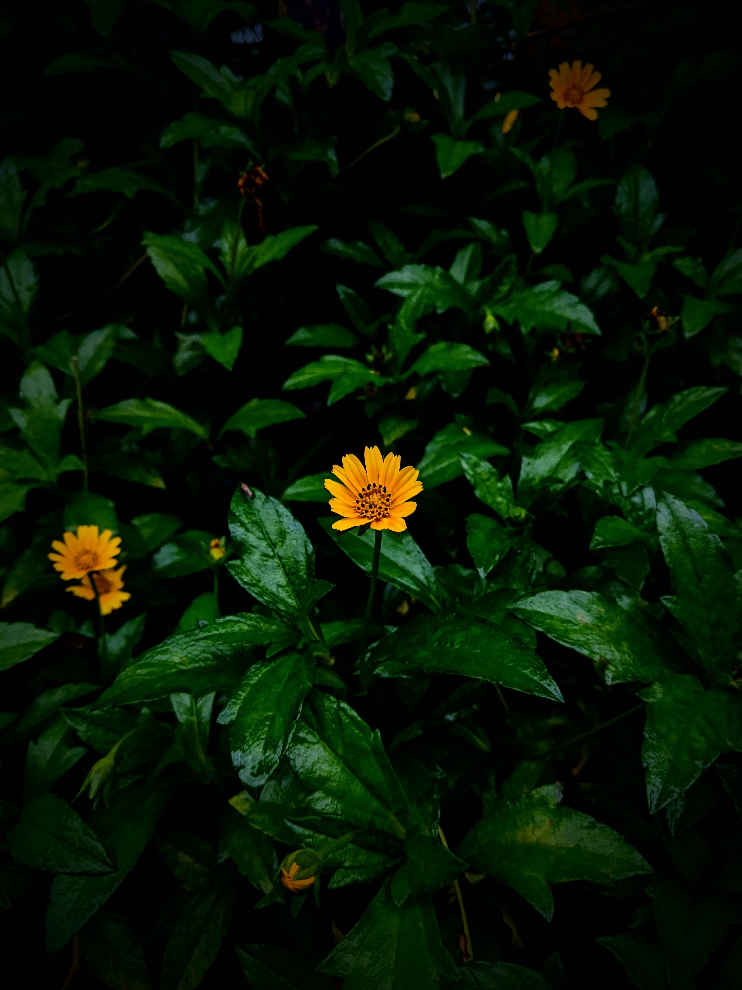 Photo by saiharishk