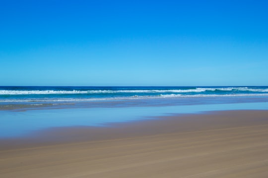 blue sea under blue sky during daytime in Fraser Island Australia