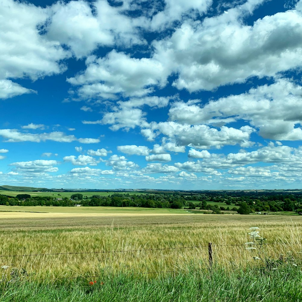 campo de grama verde sob céu azul e nuvens brancas durante o dia