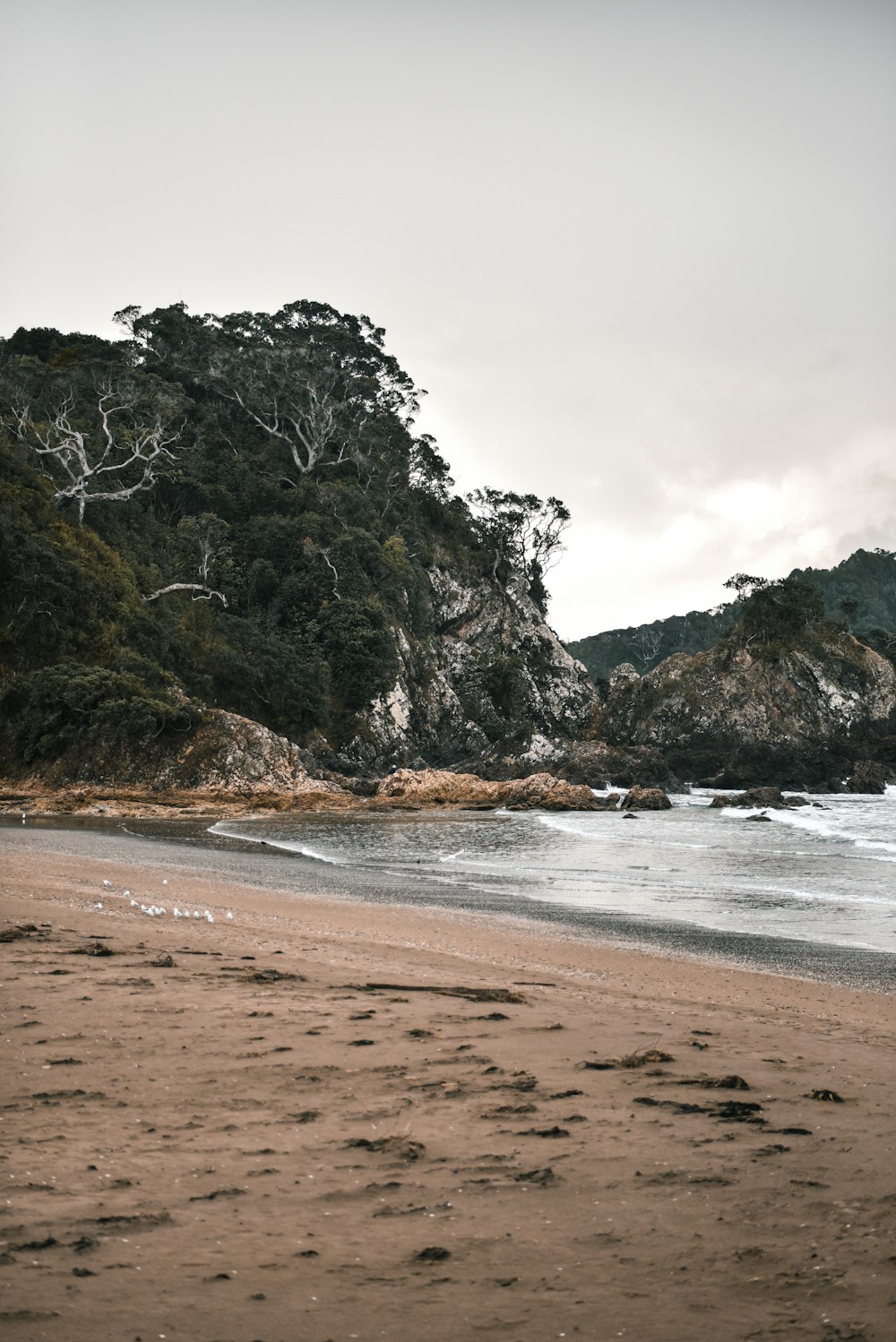 brown and green mountain beside sea during daytime