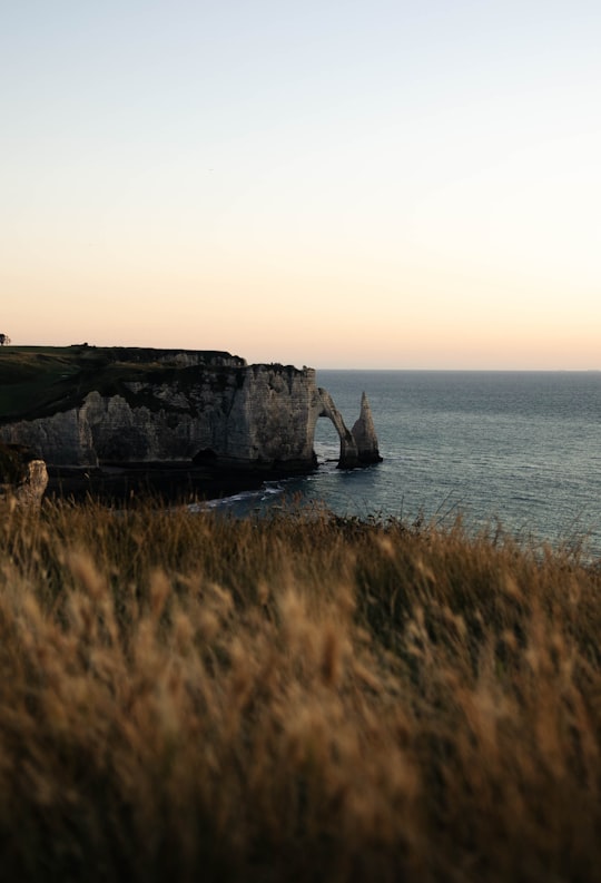 green and brown rock formation on sea under white sky during daytime in La Falaise d'Amont France