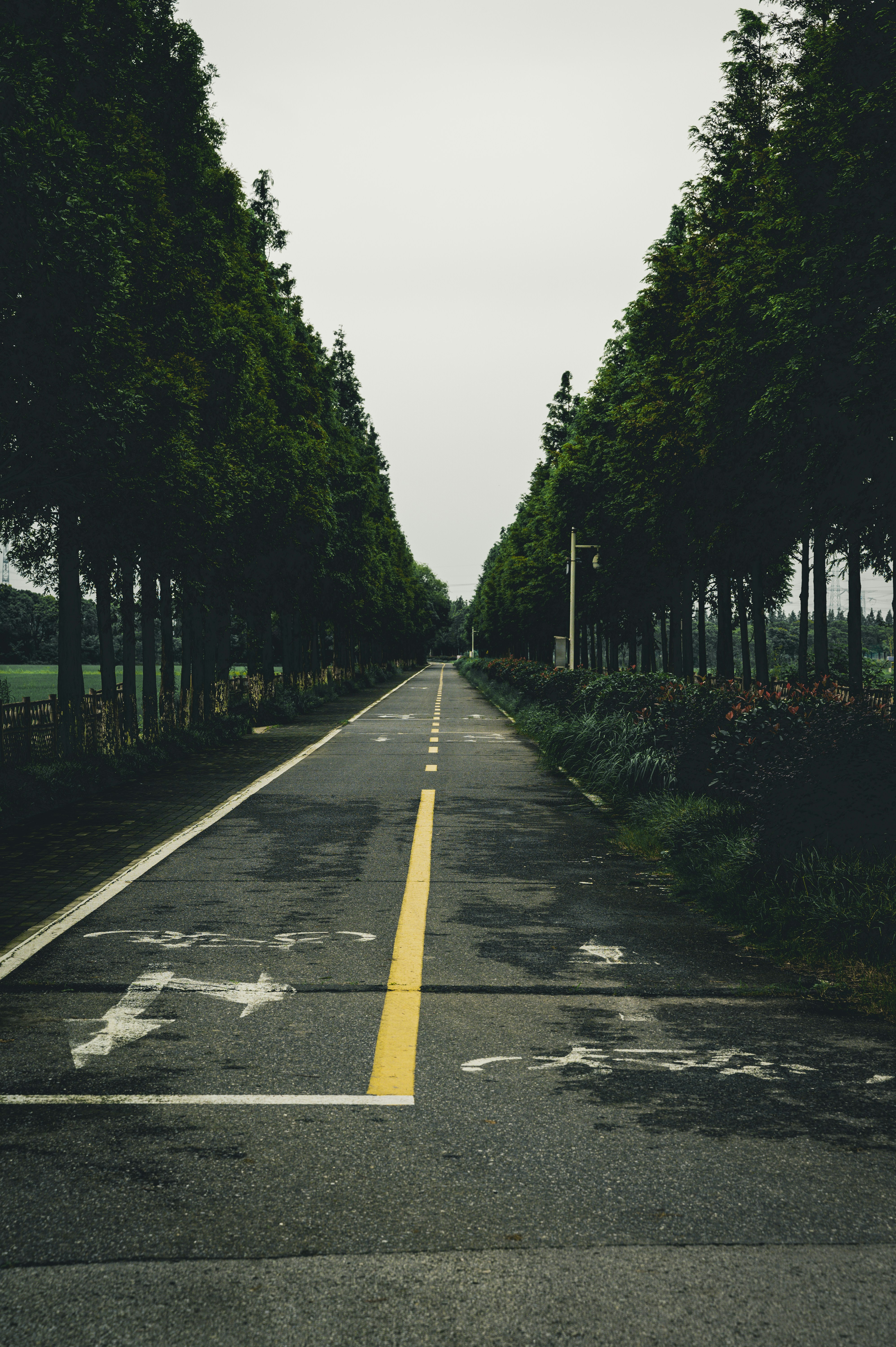 Photo by chuchongju