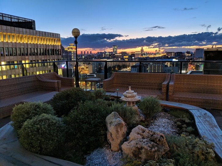 Sunlit rooftop garden with lush greenery and cozy seating overlooking the city skyline at sunset.