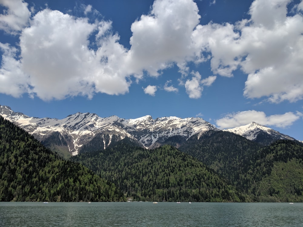 grüne Bäume und Berge unter weißen Wolken und blauem Himmel tagsüber