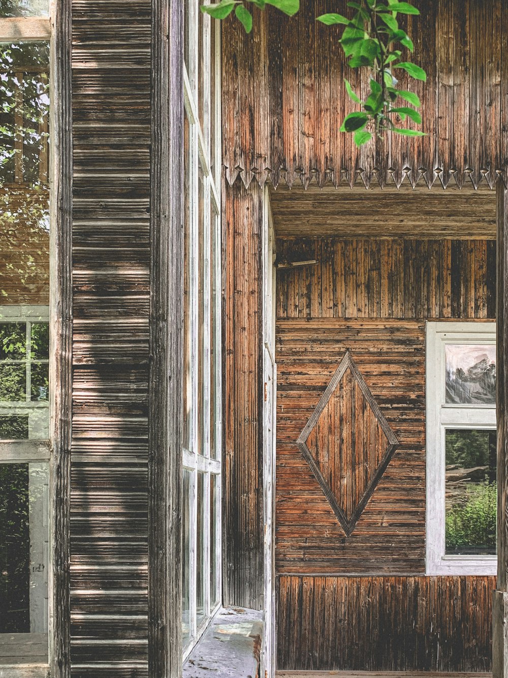 brown wooden door with green plants