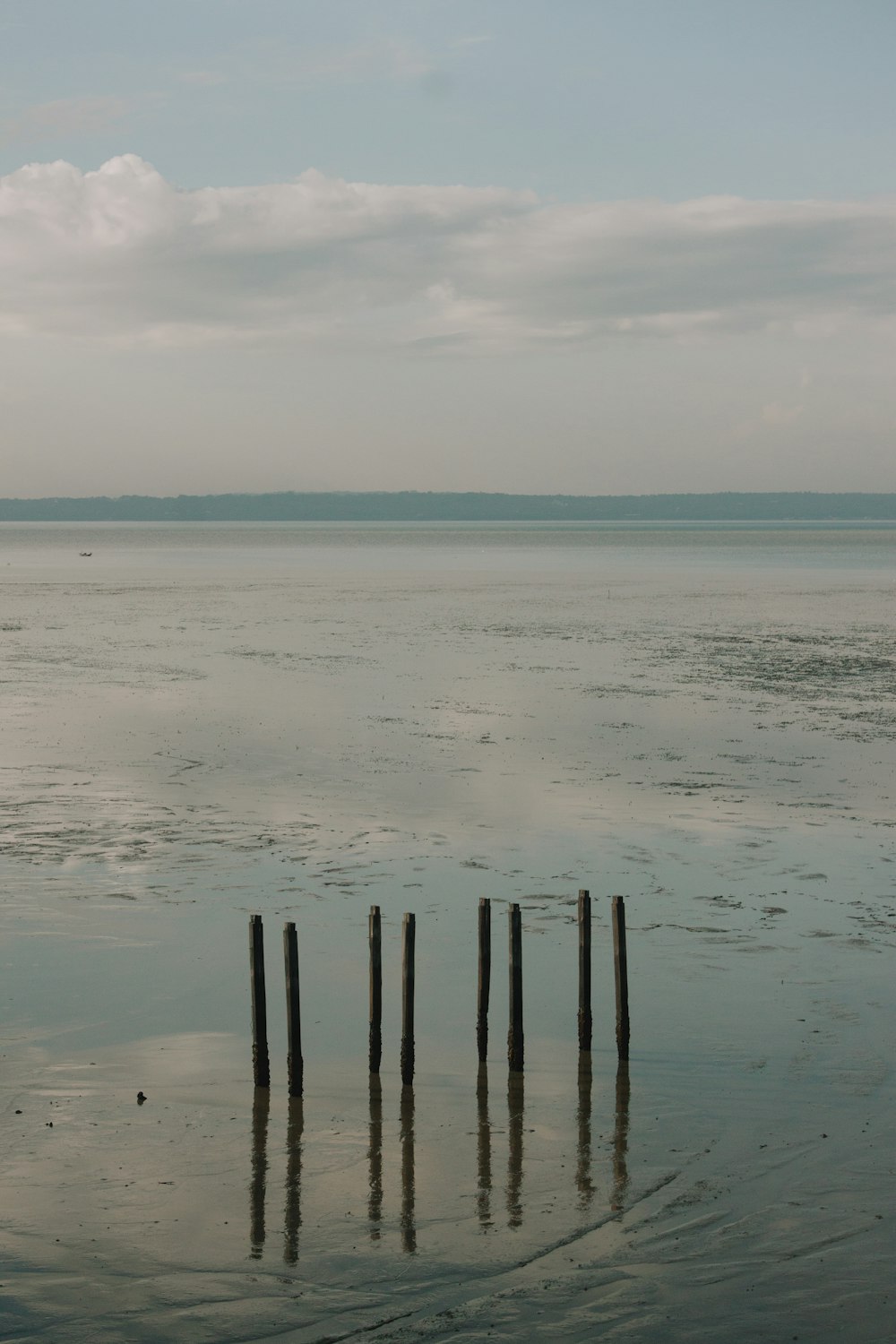 brown wooden posts on sea shore during daytime