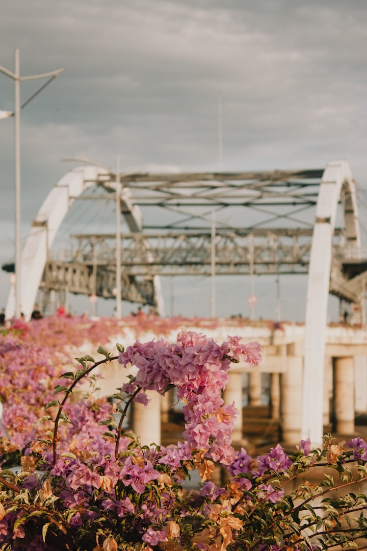 The Bridge of Love, Gold, and Roses