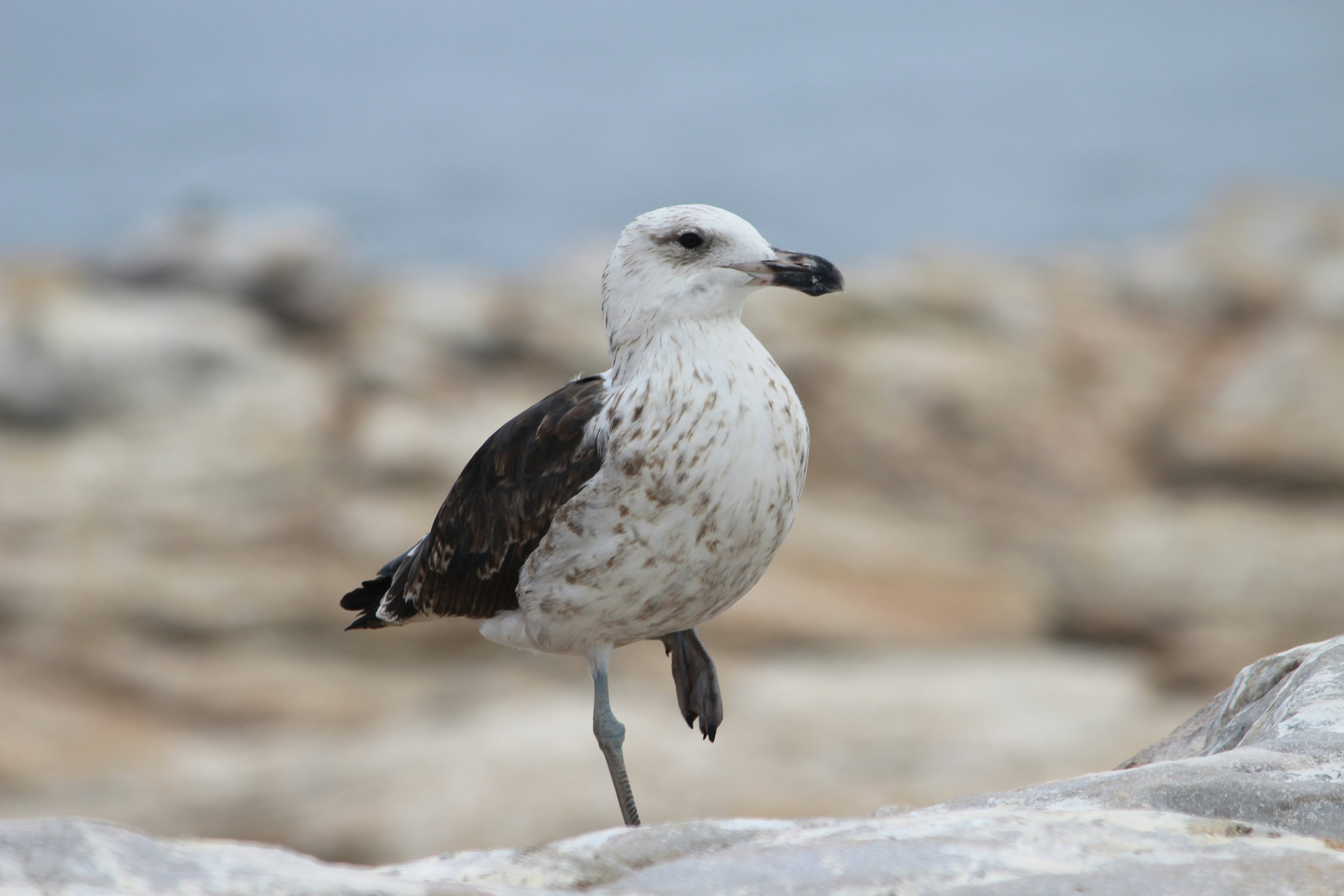 Photo by lena_bauermeister