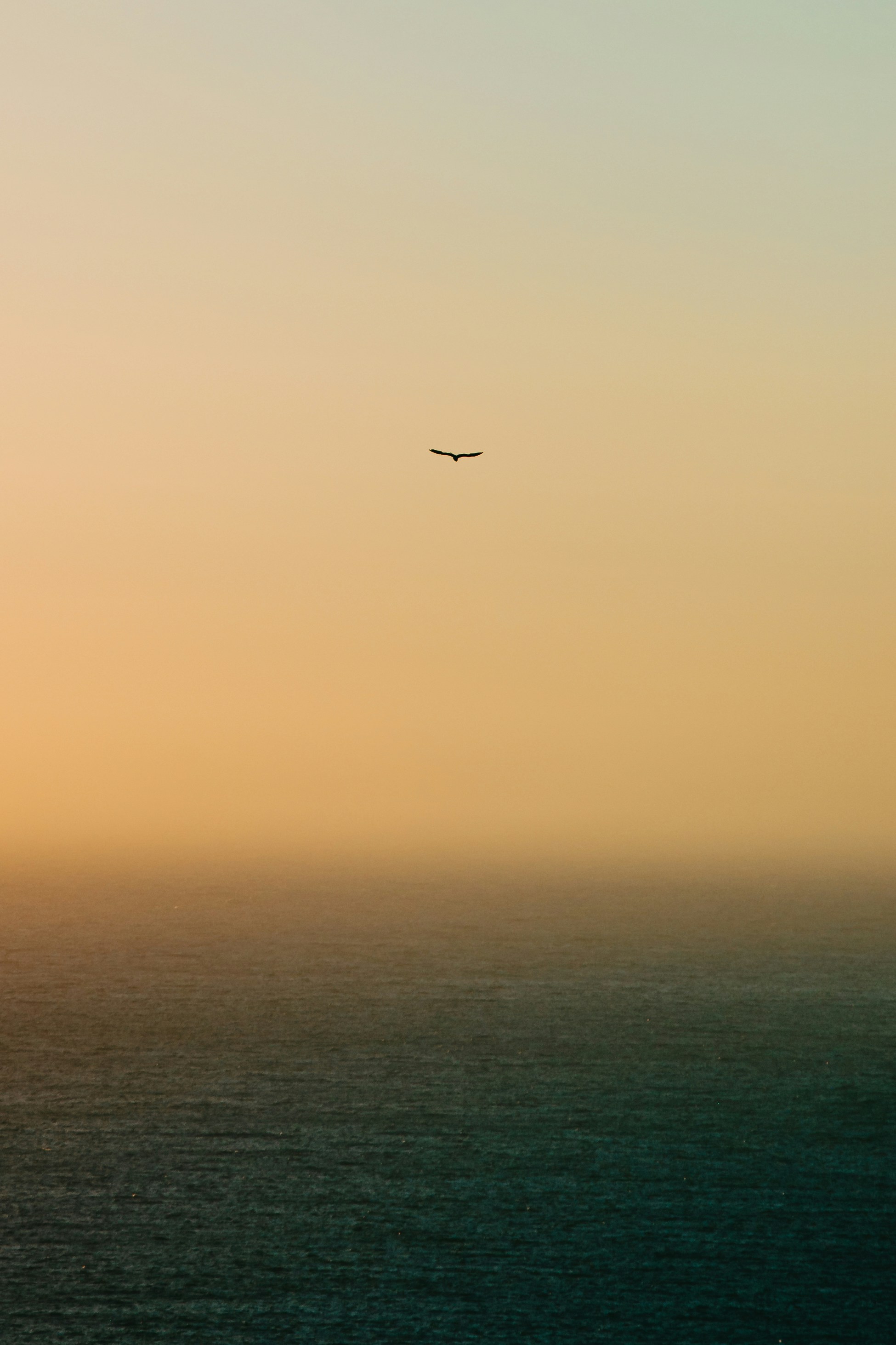 Photo by 3tnik