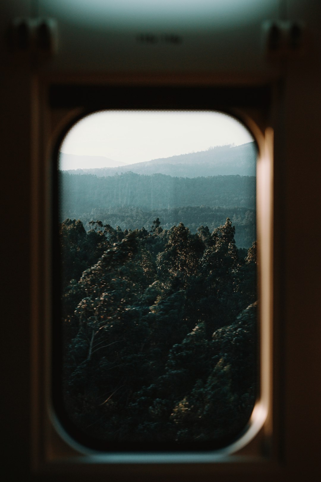 green trees on mountain during daytime