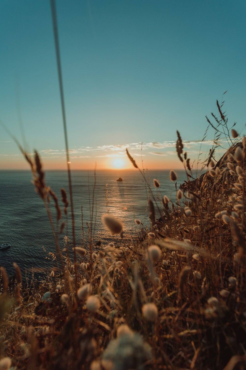 brown grass near body of water during sunset