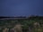 A dark, expansive landscape with dense vegetation in the foreground and a large area that appears to be a landfill or wasteland in the midground. There are small structures or machinery, possibly for waste management, scattered around the area. In the distance, city buildings and lights are visible below the dark, overcast sky.