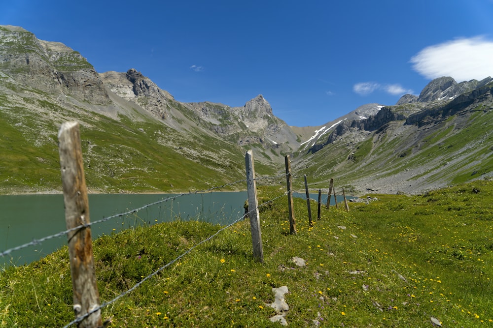 green grass field near mountain under blue sky during daytime