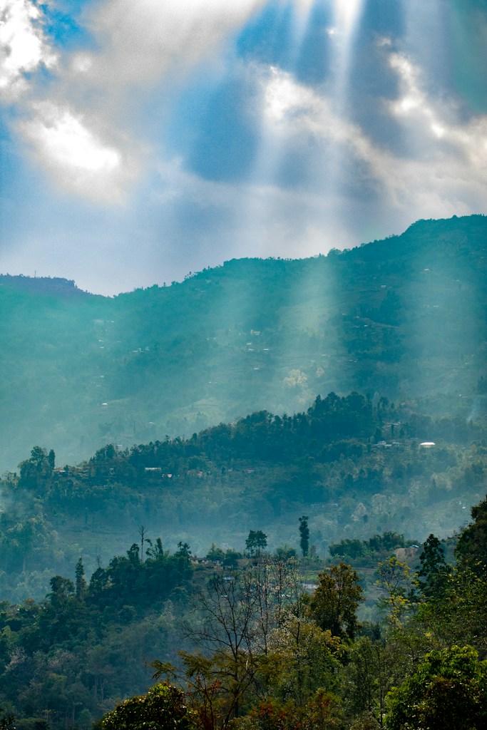 Misty Mountain Morning