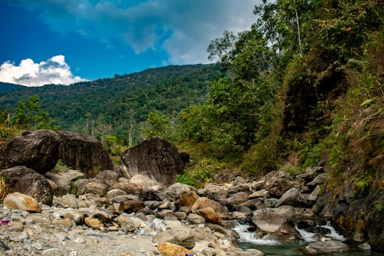 photo of Sittong Nature reserve near Senchal Wildlife Sanctuary