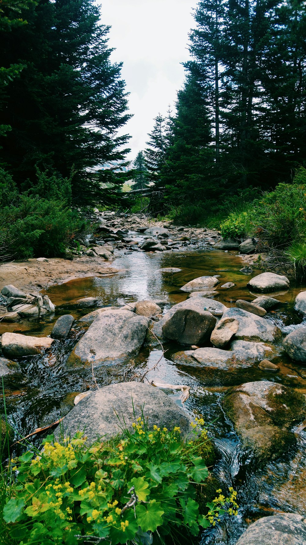 rocce grigie sul fiume durante il giorno