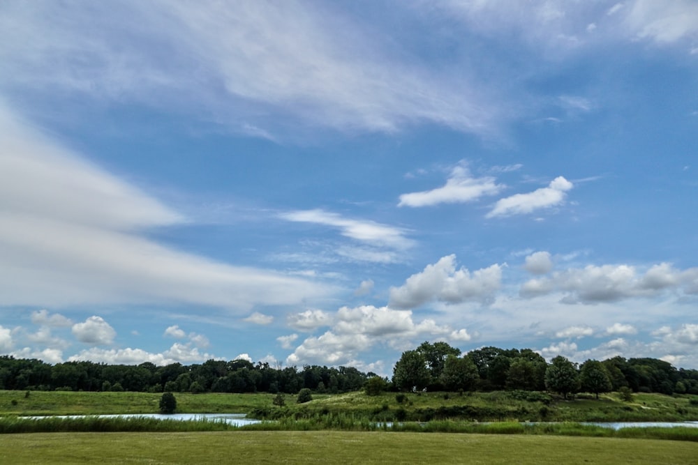 green grass field near green trees under blue sky and white clouds during daytime