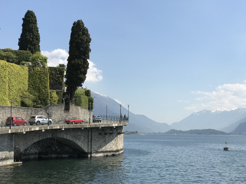 white boat on body of water near green trees during daytime