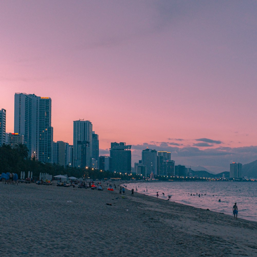 people on beach during daytime