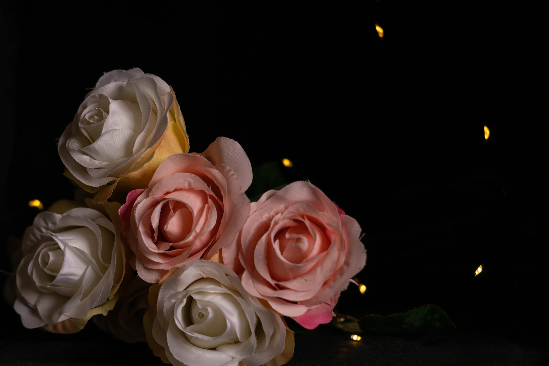woman holding dried flower