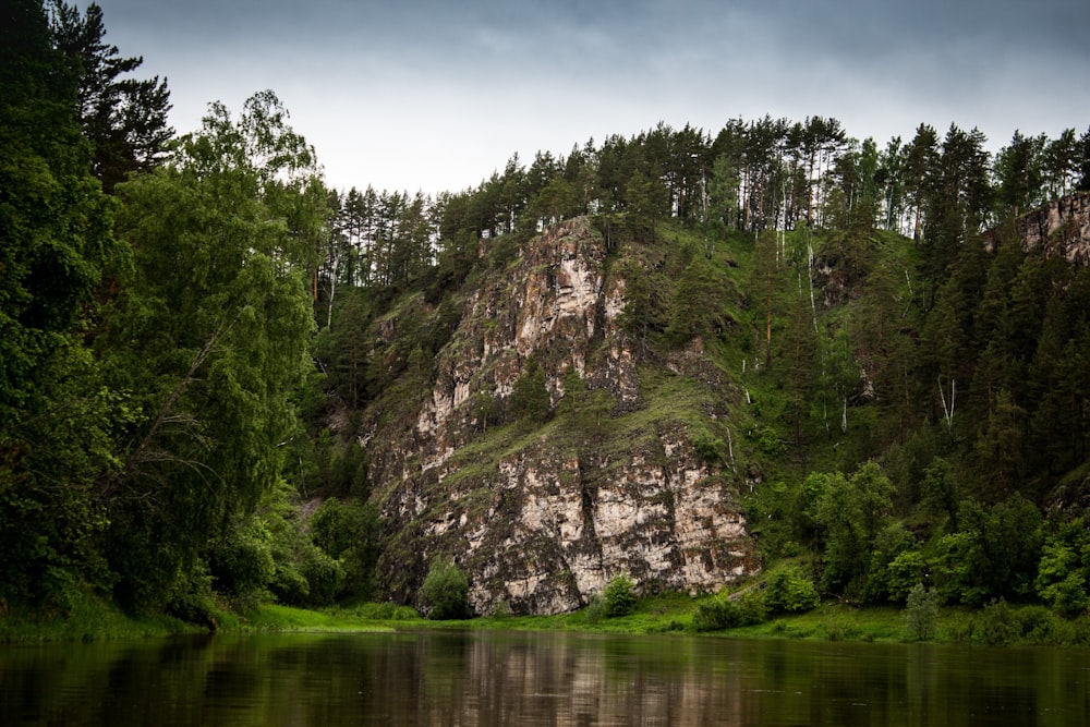 green trees on mountain beside river during daytime