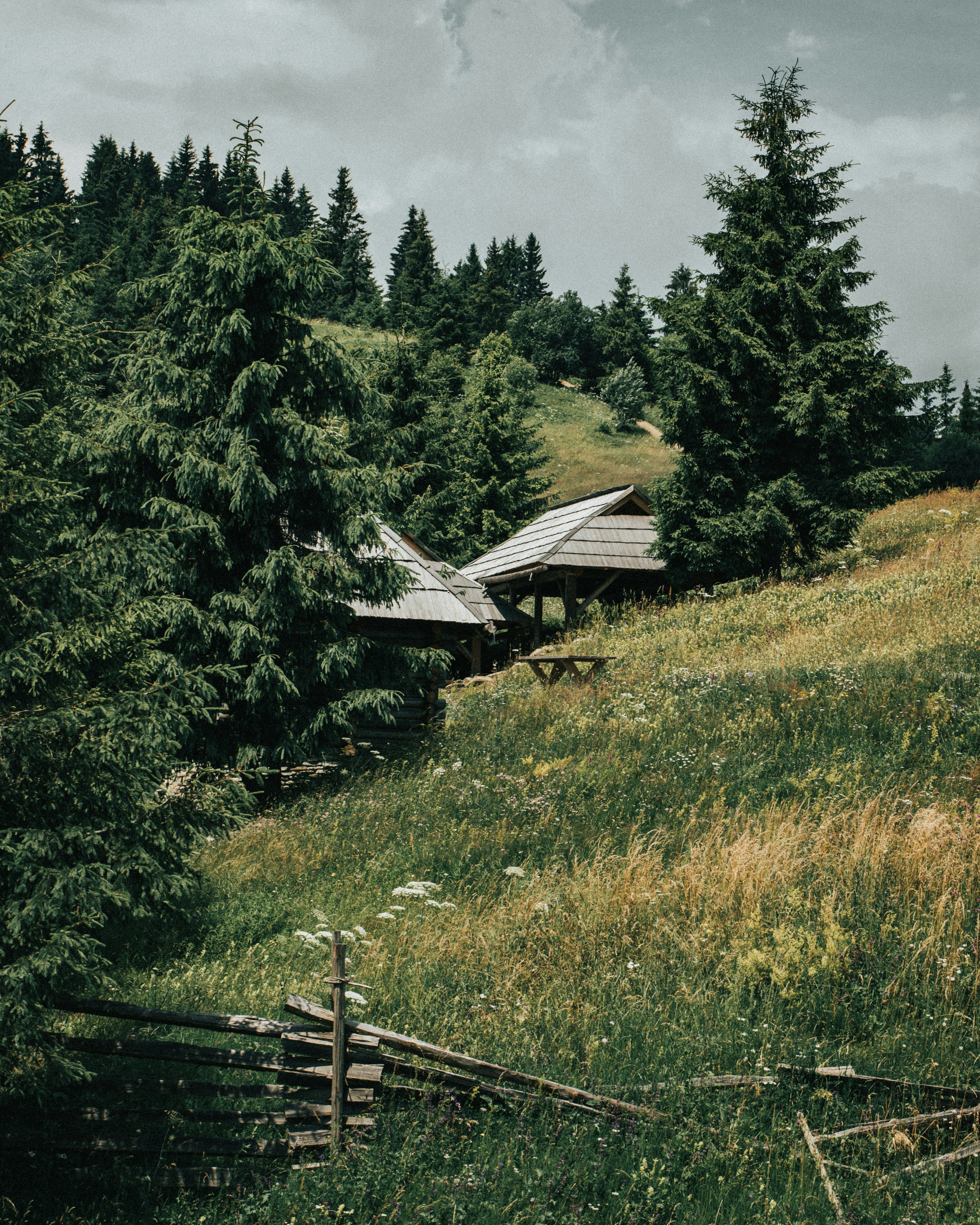 Photo by tamas_tuzeskatai