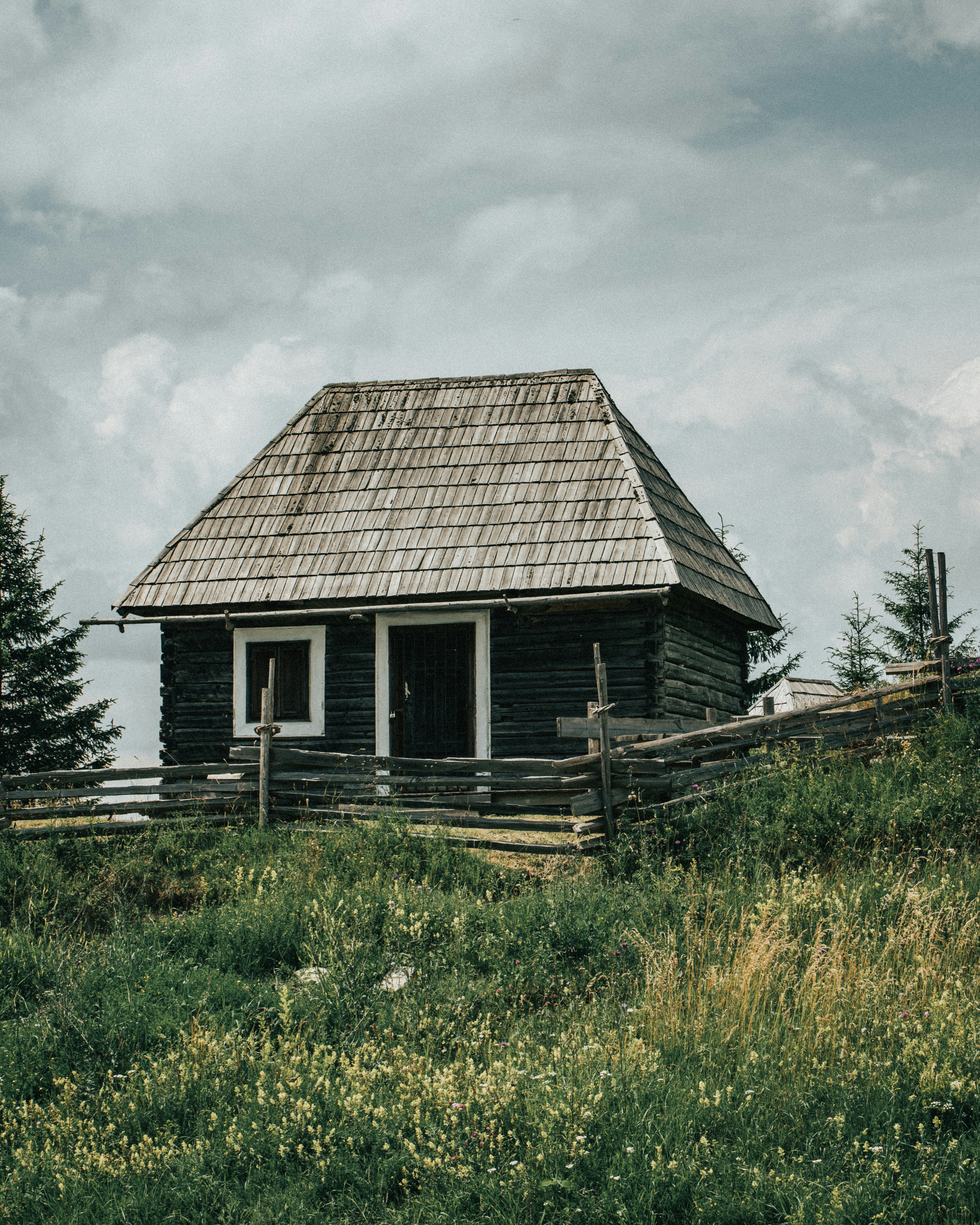 Photo by tamas_tuzeskatai