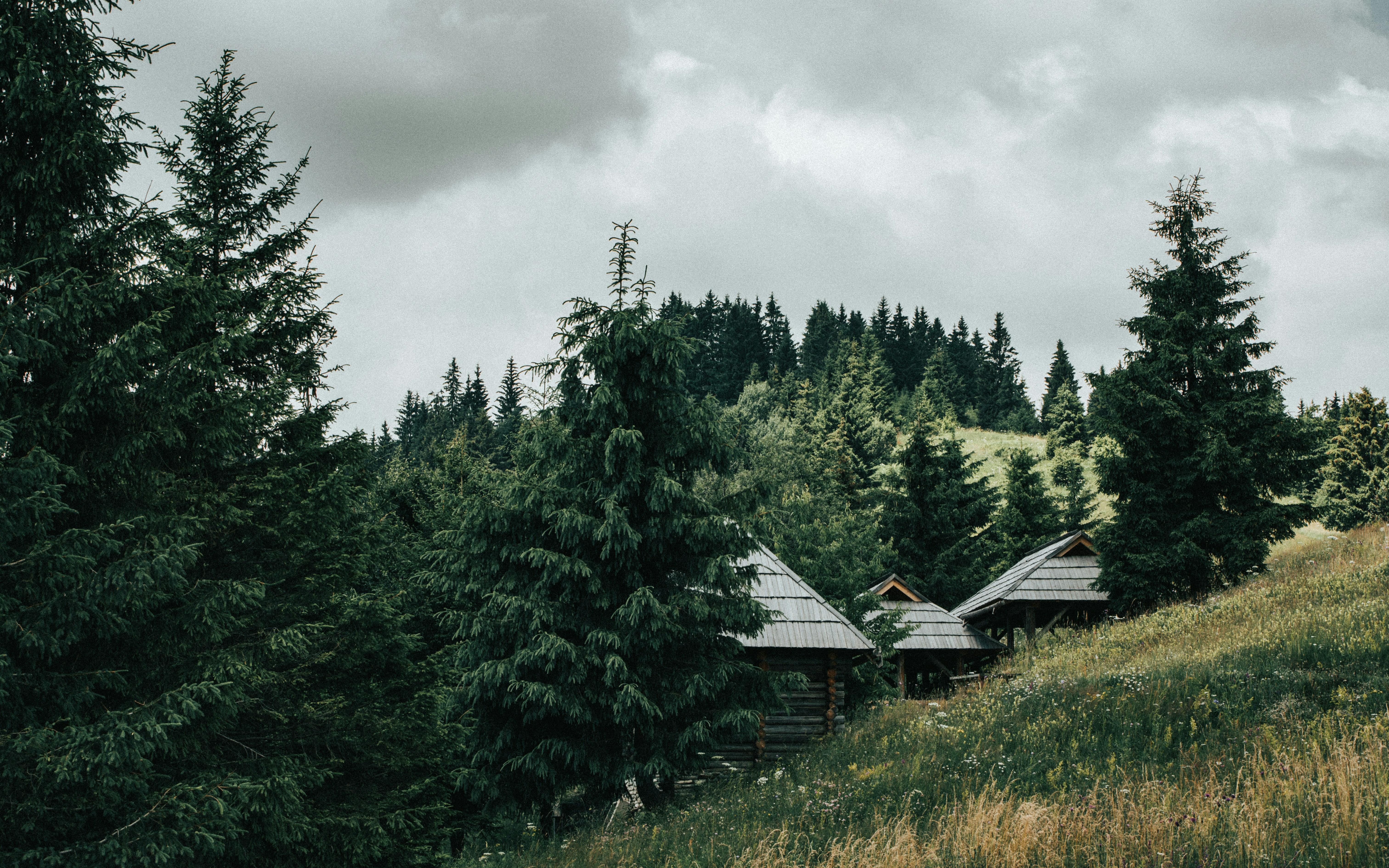 Photo by tamas_tuzeskatai