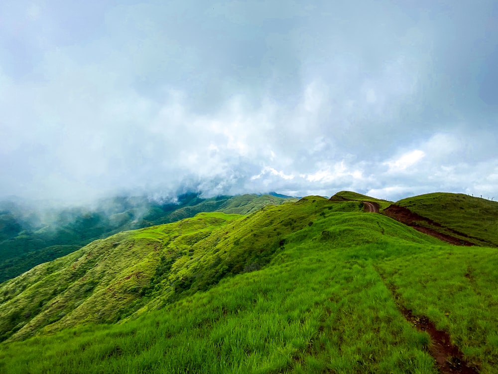 campo de hierba verde bajo nubes blancas