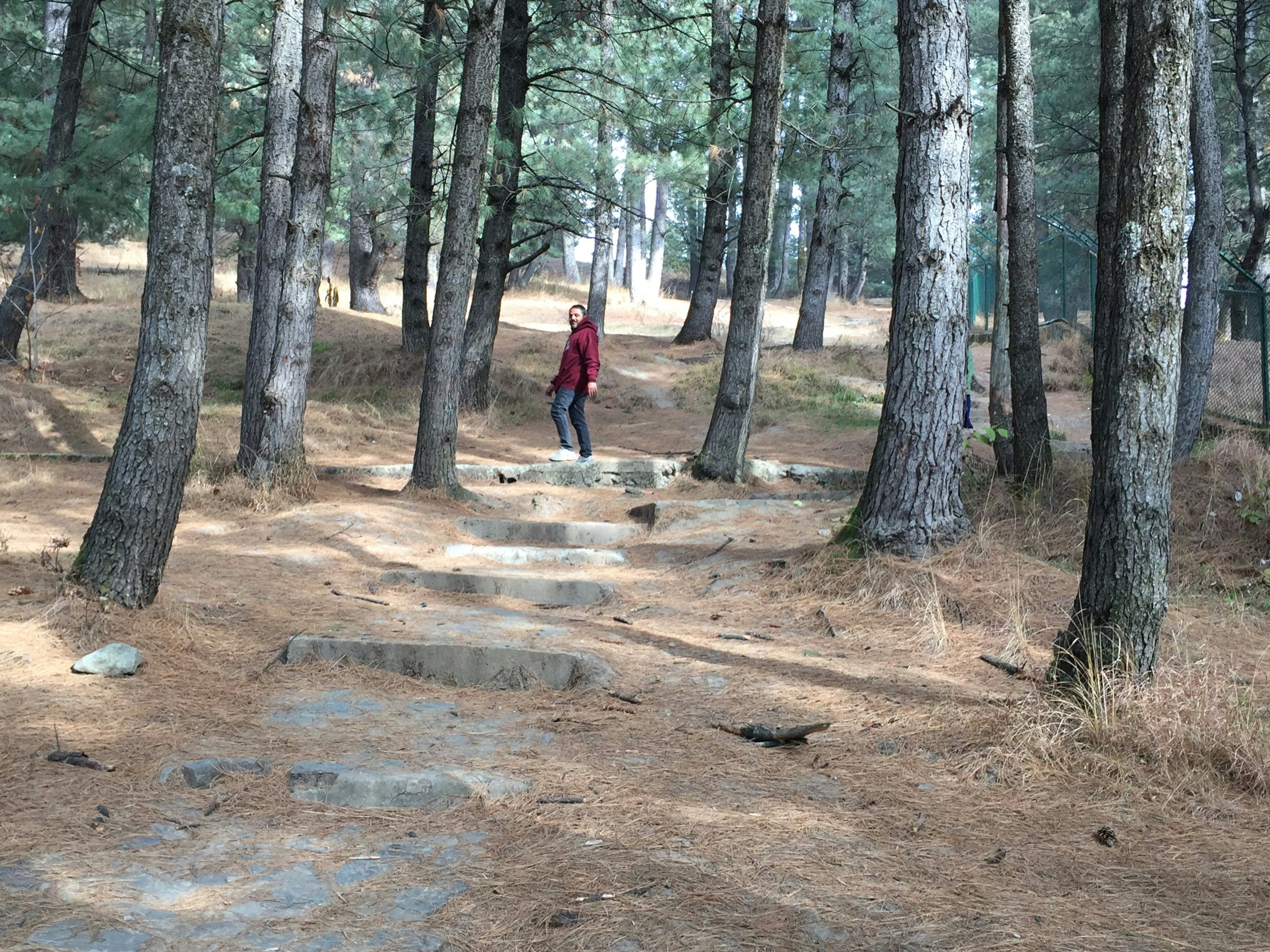 man in red jacket walking on forest during daytime
