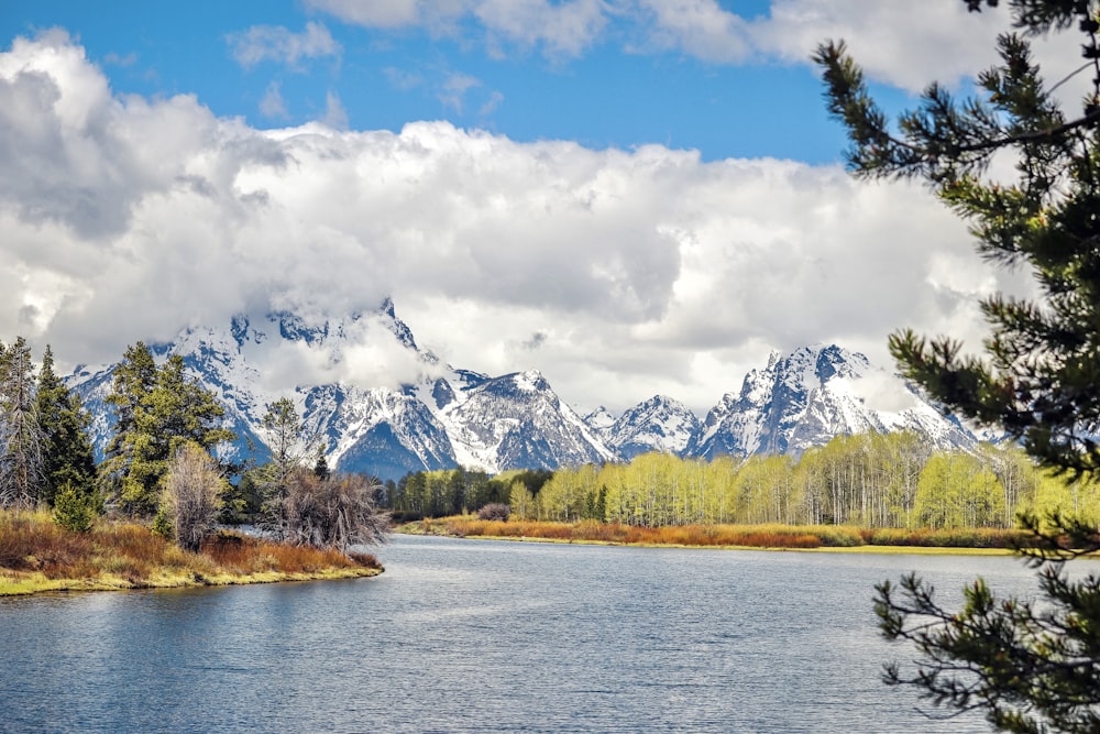 green trees near lake under white clouds and blue sky during daytime