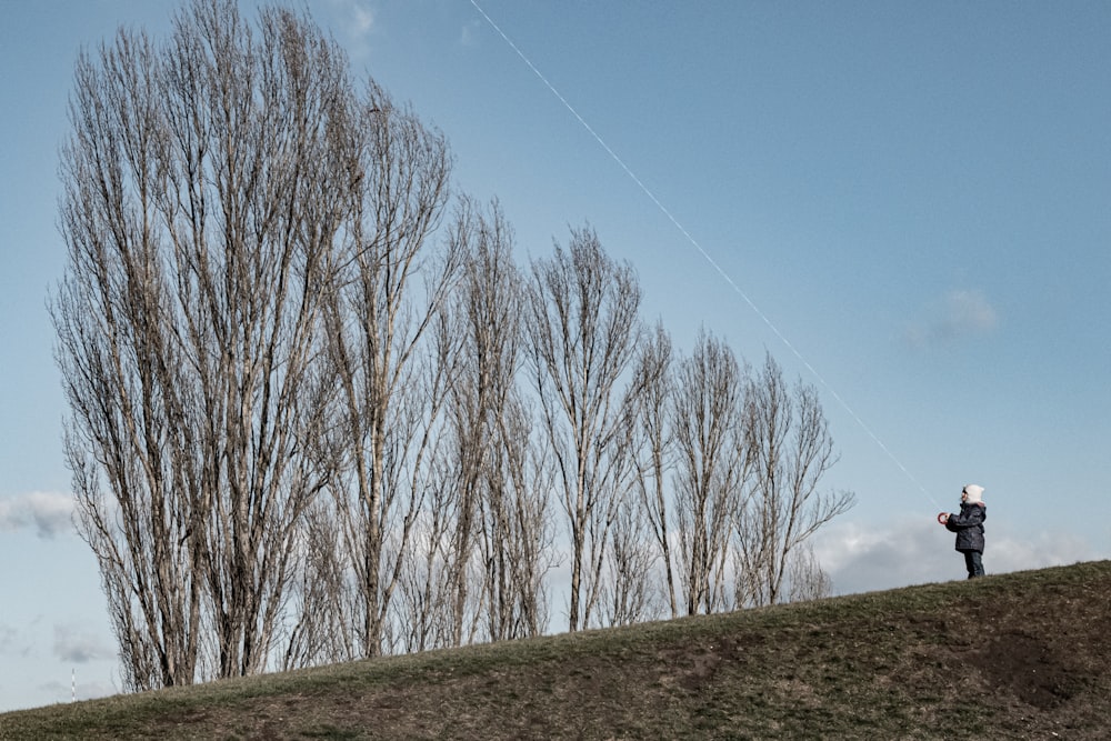 leafless trees on green grass field under blue sky during daytime