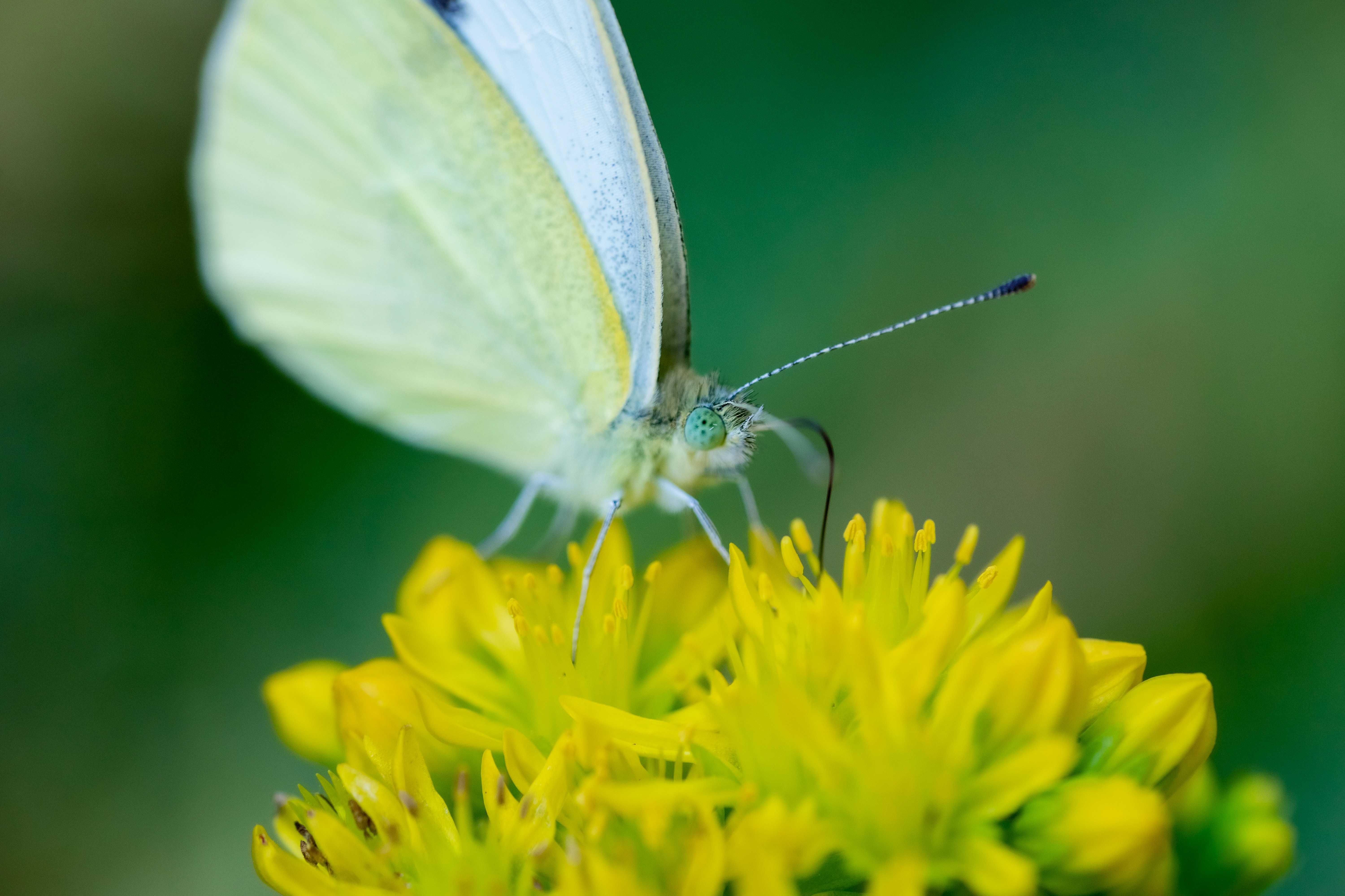 Which 7 hotels in Montreuil are most eco-friendly?