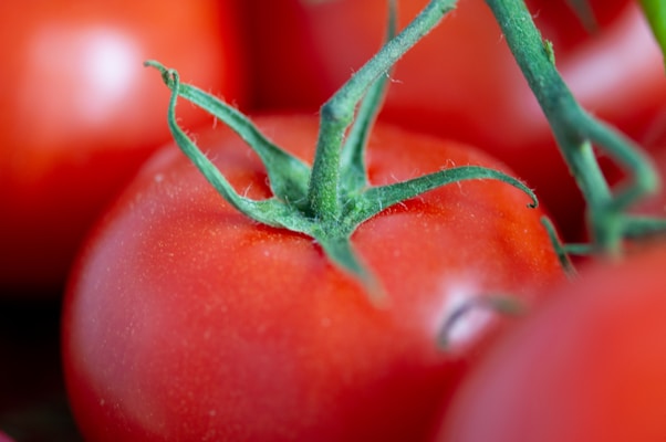 A close-up view of ripe red tomatoes with green stems still attached, highlighting the vibrant color and smooth texture.
