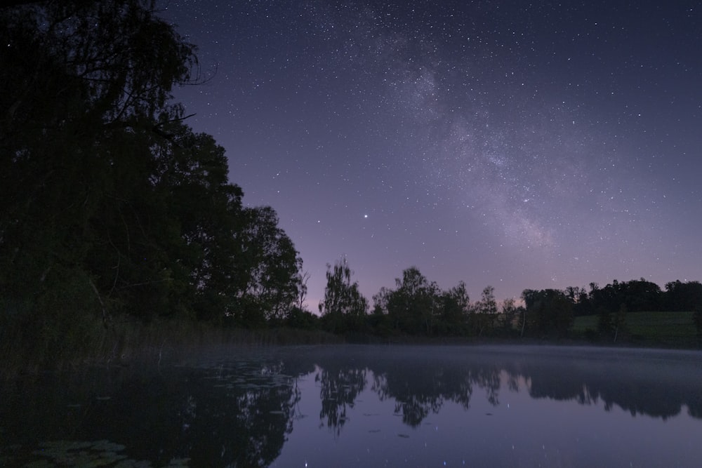 body of water near trees during night time