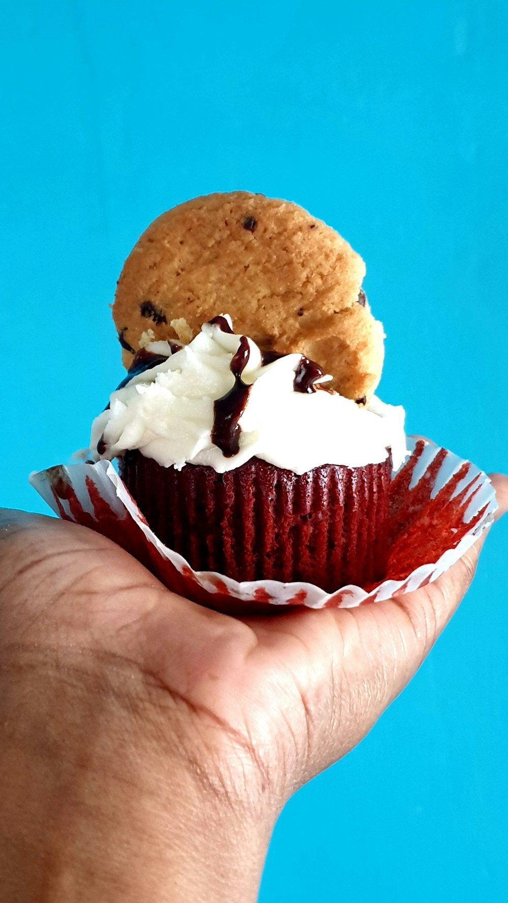 person holding chocolate cupcake with white icing