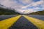 yellow line on gray asphalt road