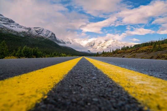 yellow line on gray asphalt road in Icefields Parkway Canada