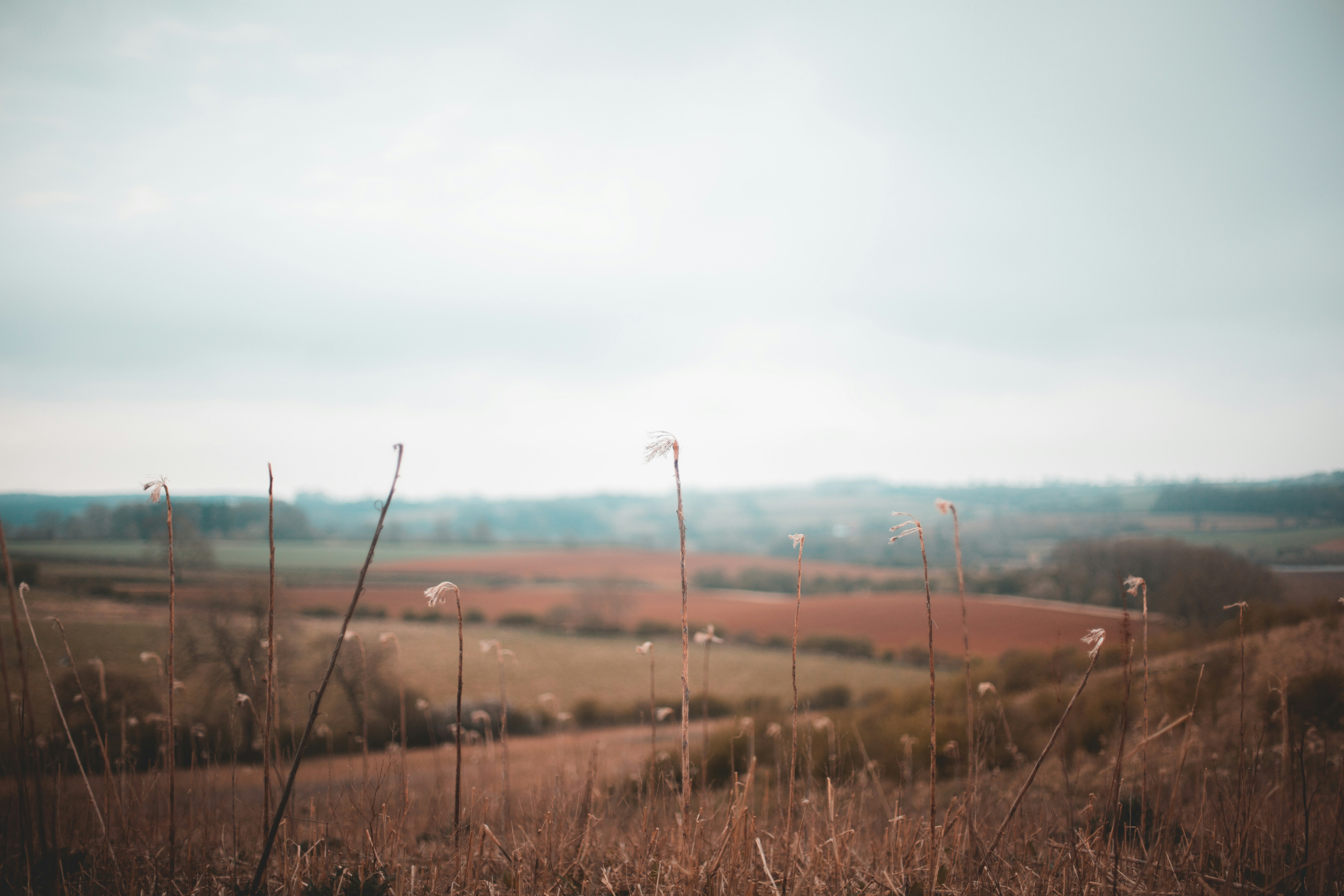 Photo by domheartley