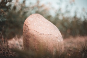 A large, smooth stone sits in a grassy area with blurred greenery in the background. On the surface of the stone, the text 'Count Your Blessings' is inscribed, partially covered by some natural imperfections of the rock.