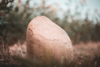 A large, smooth stone sits in a grassy area with blurred greenery in the background. On the surface of the stone, the text 'Count Your Blessings' is inscribed, partially covered by some natural imperfections of the rock.